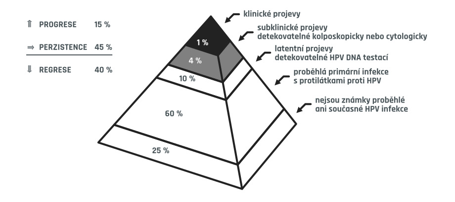 projevy HPV infekce
