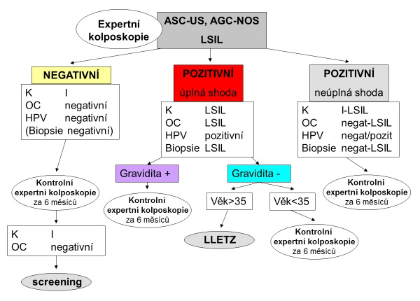 kolposkopická expertíza