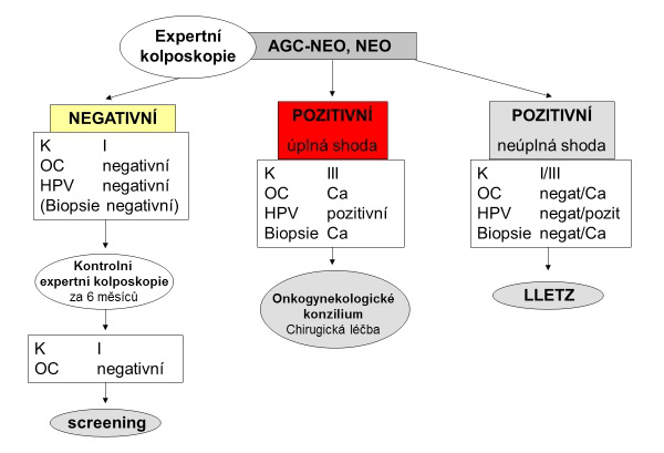 kolposkopická expertíza