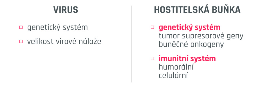 interakce viru s hostitelskou buňkou